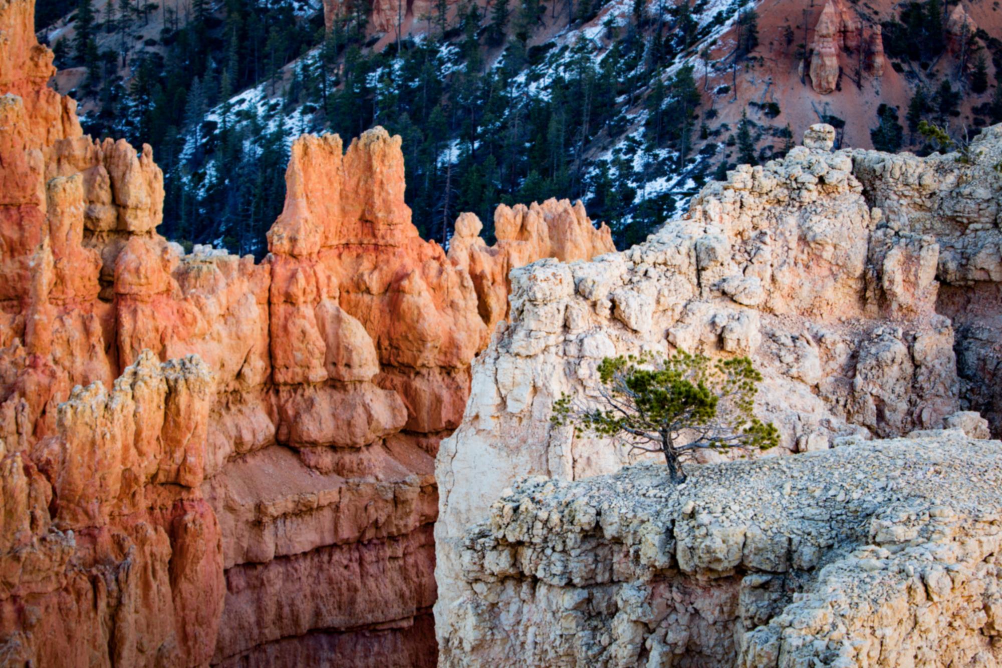 Bryce Canyon