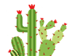 transparent cactus